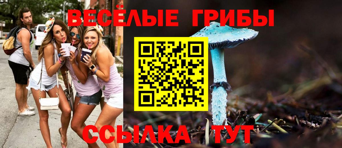 Луховицы  Галлюциногенные грибы ЛСД  Вход с VPN 